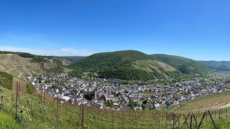 Ausblick auf Dernau von den Weinreben