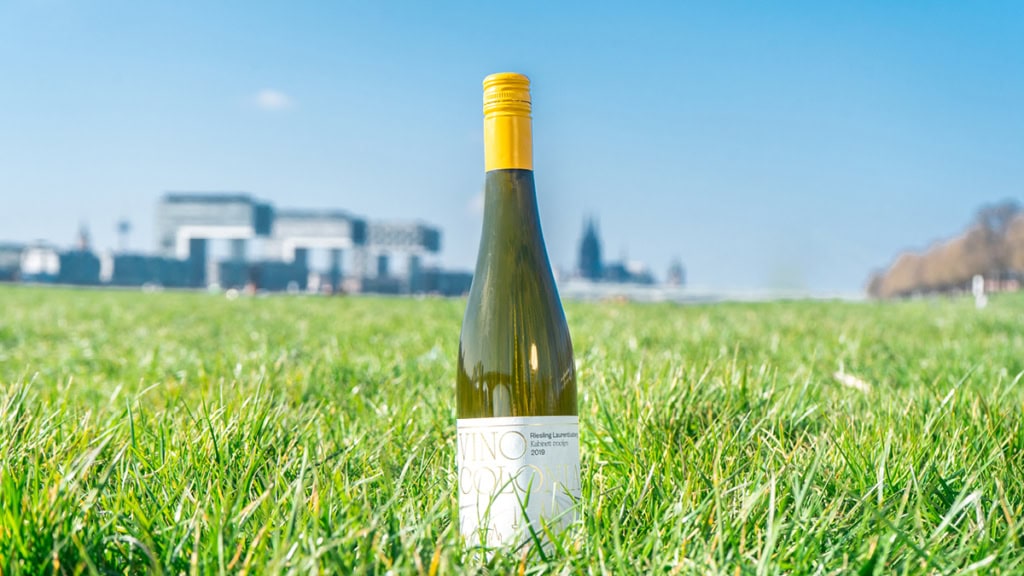 Weißwein auf der Wiese im Focus