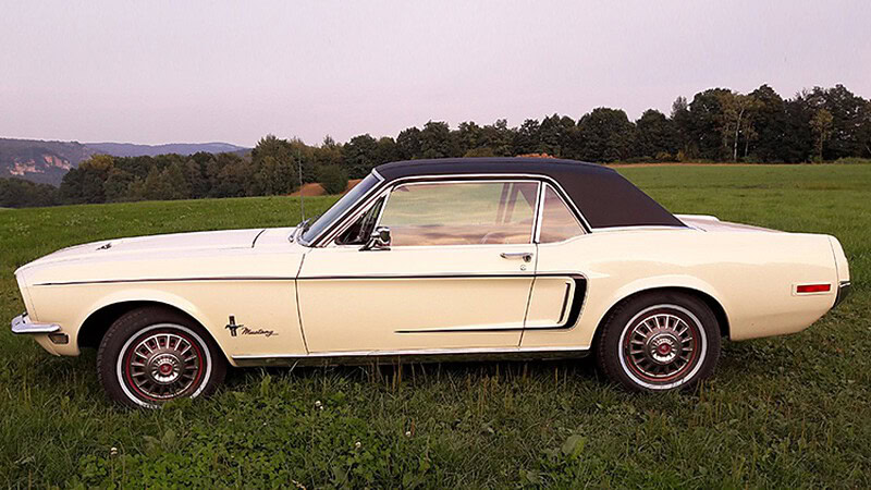 Mustang steht auf der Wiese - Ford Mustang Coupé selber fahren bei Dresden