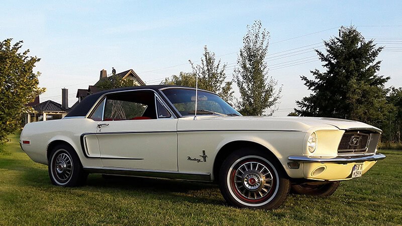 Mustang steht auf der Wiese - Ford Mustang Coupé selber fahren bei Dresden