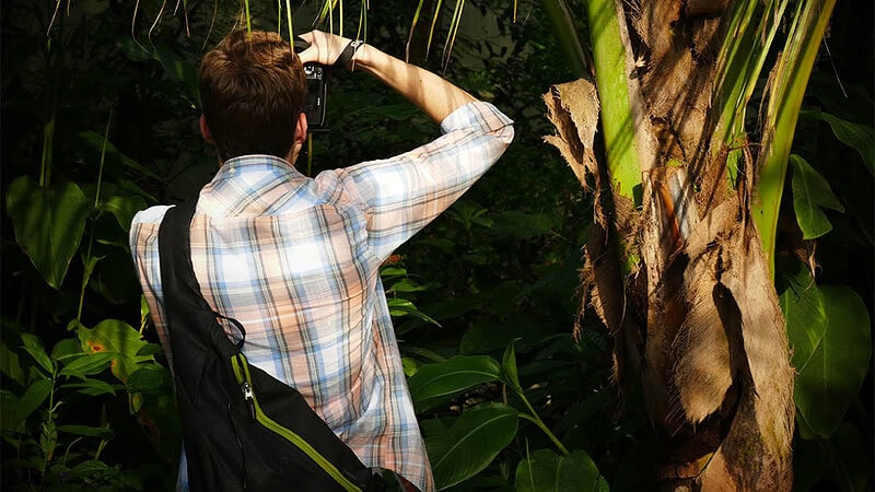 Ein Mann fotografiert in einem botanischen Garten. - Fotokurs Tagesworkshop