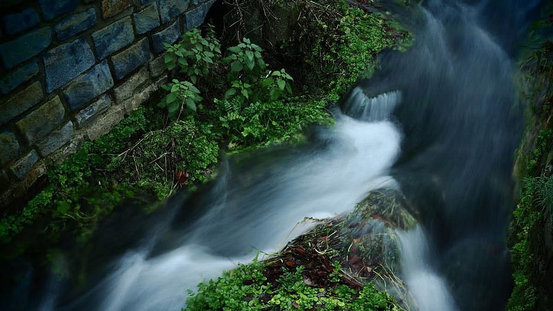 Ein kleiner Fuß der entlang einer Mauer entlang fließt. - Fotokurs Tagesworkshop