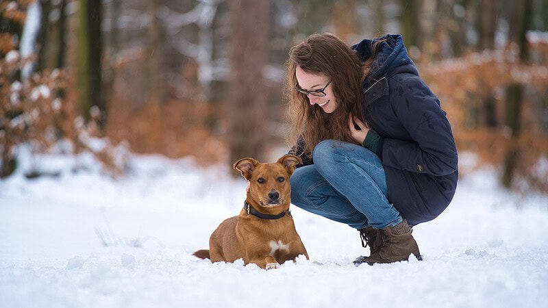 Frau mit Hund im Winter im Wald