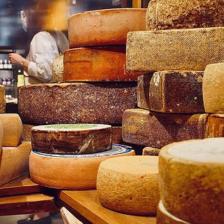 viele Laib Käse beim Kurs Käse selber machen in Dresden