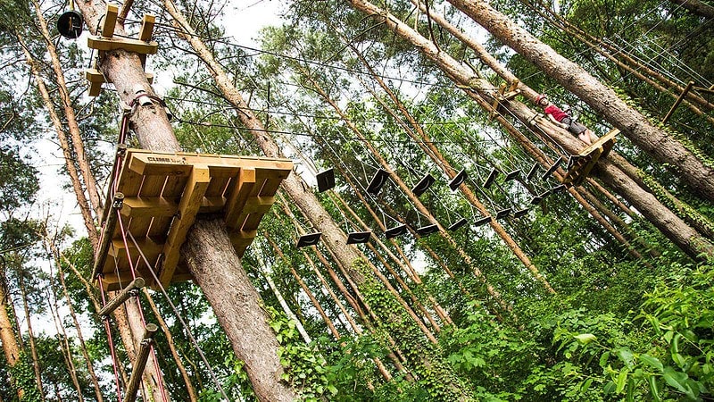 Kletterplatform im Kletterwald