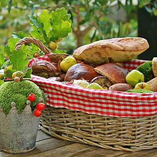 großer Korb mit Pilzen im Garten für den Kochkurs in Dresden