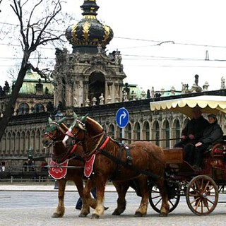 Pferdekutsche vor dem Dresdener Zwinger Kutschfahrt durch Dresden