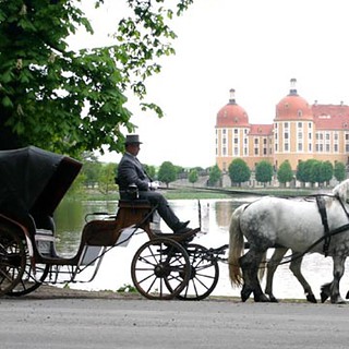 Kutsche vor dem Schloss Moritzburg macht eine Kutschfahrt