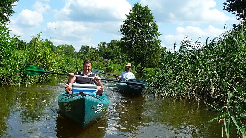 Zwei Männer paddeln im Kanal bei der Kahnfahrt im Spreewald