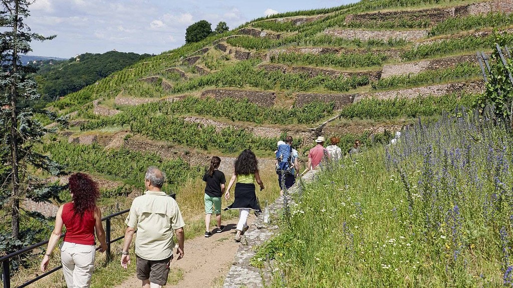 Menschen wandern auf der Weintour