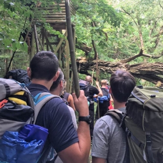 Gruppe im tiefsten Wald beim Wandern.