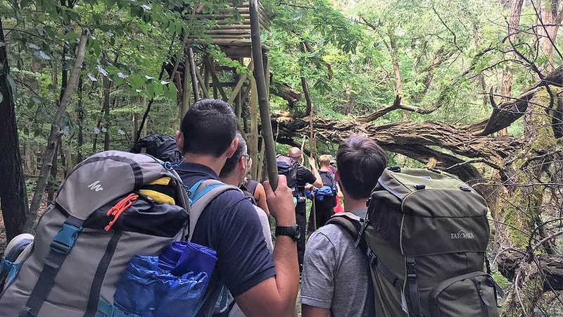 Gruppe im tiefsten Wald beim Wandern.