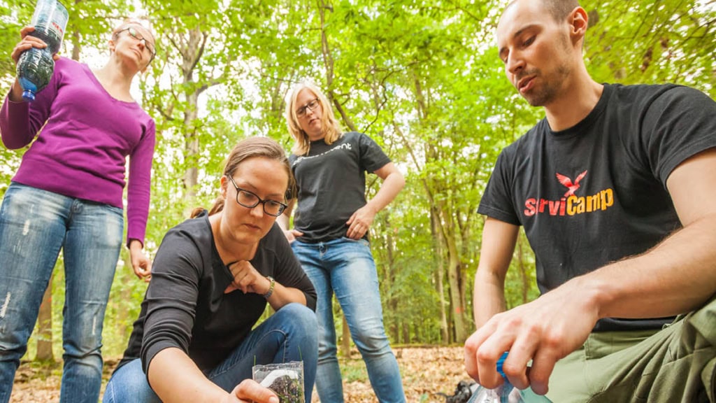 Vier Leute im Wald am Feuer machen.