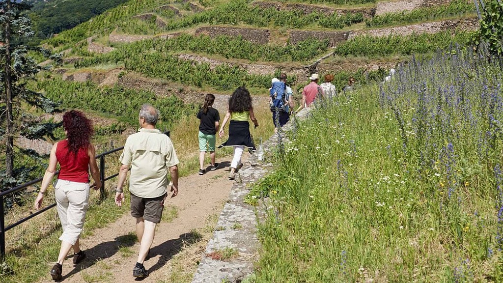 Personen laufen am Weinberg entlant