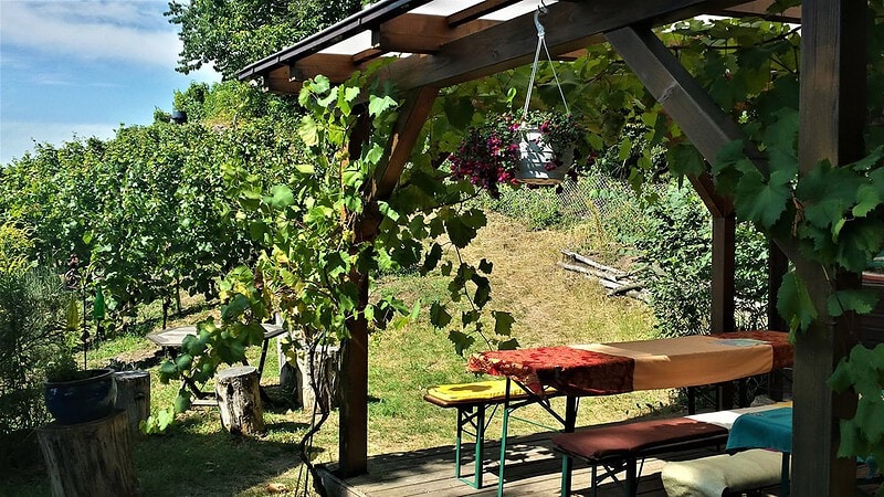 Sitzgelegenheit bei der Weinwanderung in den Weinbergen in Radebeul