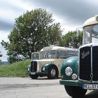 Oldtimerbus Weinzeit entlang der Elbe - Ausflug im Oldiebus