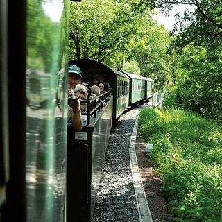 Schmalspurbahn fährt durch den Wald beim Weingenuss auf schmaler Spur in Radebeul