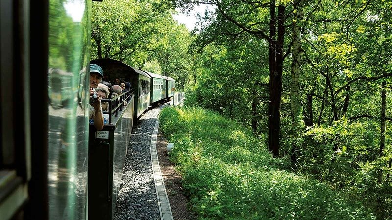 Schmalspurbahn fährt durch den Wald beim Weingenuss auf schmaler Spur in Radebeul