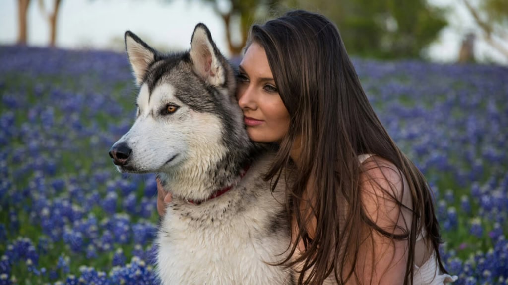 Foto einer Frau, die mit ihrem Husky-Hund in einem Wald posiert