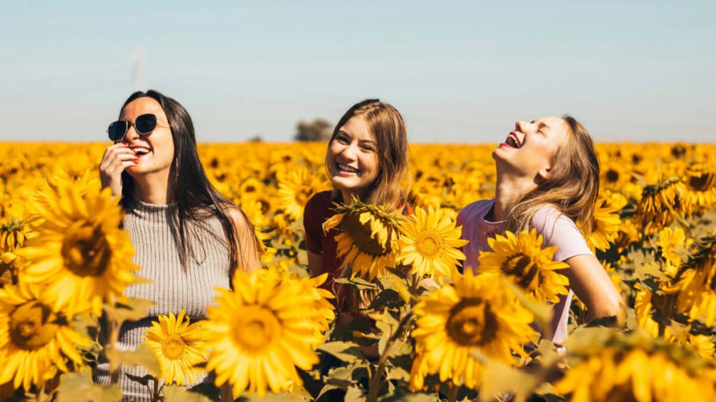 3 Frauen bei einem Fotoshooting in Sonnenblumen