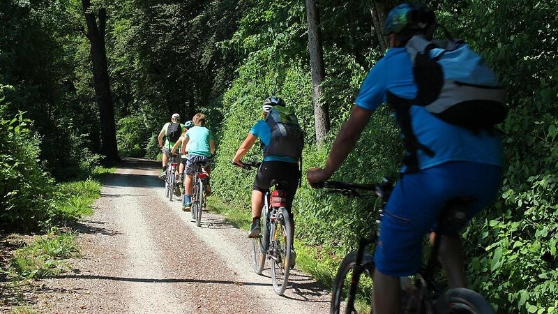 Gruppe von Menschen fahren Fahrrad durch Waldstück