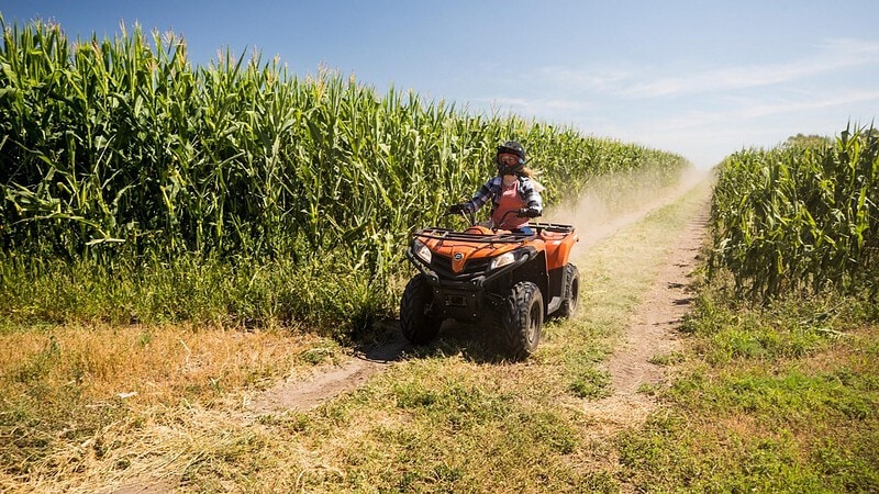 Frau auf rotem Quad fährt an einem Meisfeld vorbei