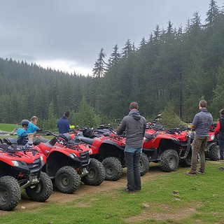 Etliche rote Quads auf einer Lichtung im Wald bei einer Pause