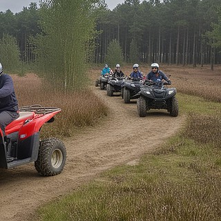 Quad Kolonne auf einem Waldweg in der Kurve