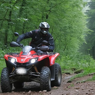 Zwei Fahrer beim Offroad fahren mit roten Quads im Wald