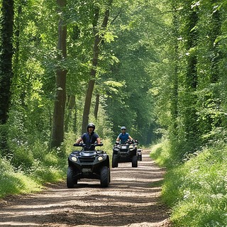 Zwei Quadfahrer fahren durch den Wald