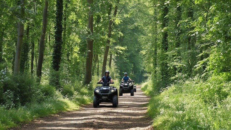 Zwei Quadfahrer fahren durch den Wald