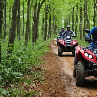 3 Fahrer durch den Wald mit roten Quads