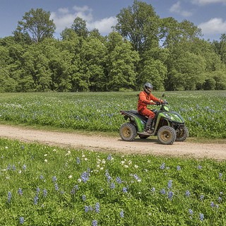 Ein Quadfahrer zwischen zwei großen Blumenwiesen