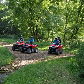 3 rote Quads stehen im Wald auf Waldweg