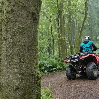 Quad Fahrer im Wald auf Waldweg