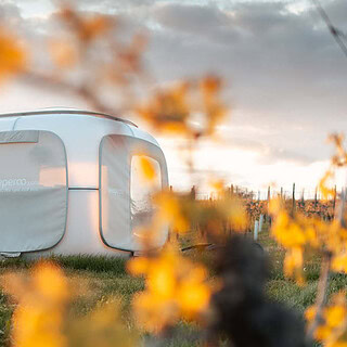 Sleep Cube mit Blättern davor auf dem Weingut